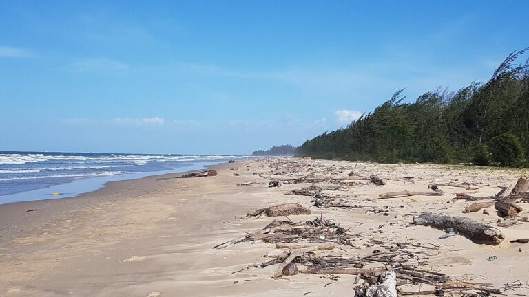 Pantai Muara Beach: Keindahan Alam yang Menenangkan