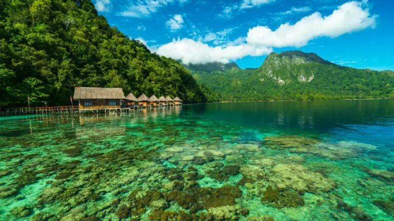 Pantai Punta Choros: Keindahan Alam dan Keanekaragaman Hayati