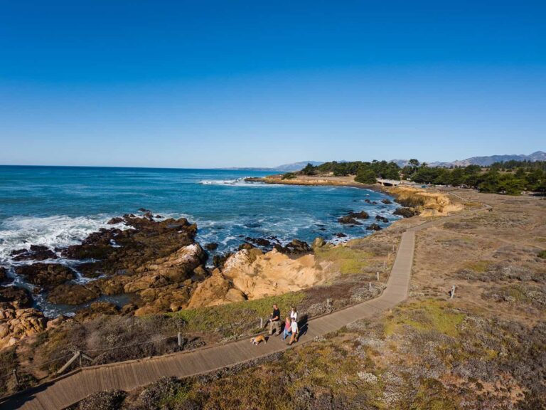 Pesona Pantai Moonstone Beach: Surga Tersembunyi di California
